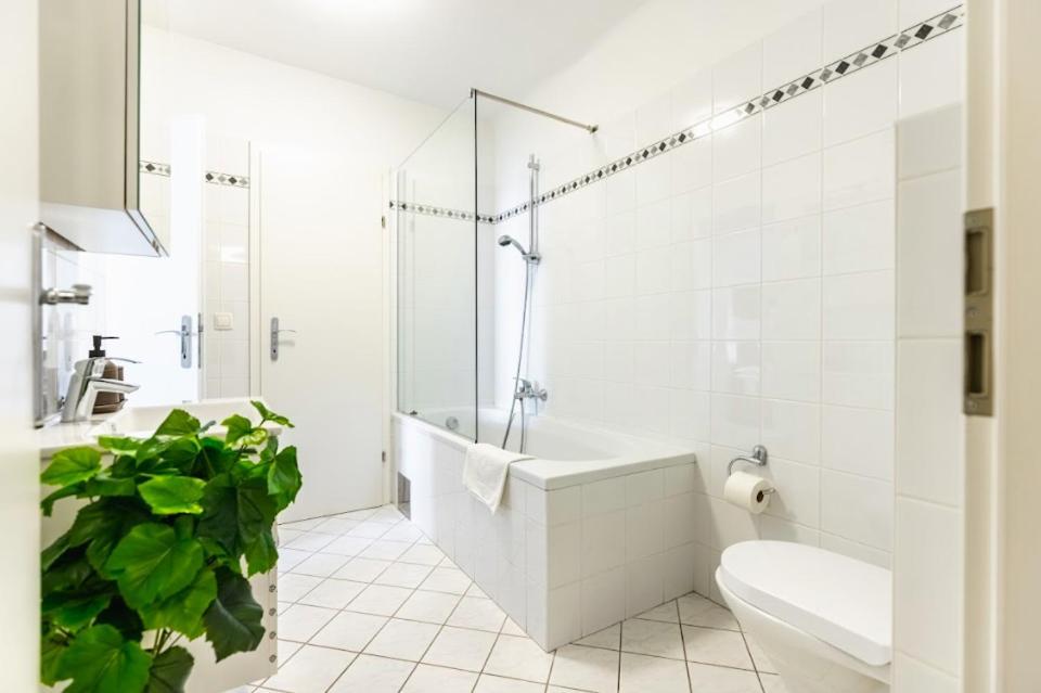 Appartement Experience From A Stylish And Modern